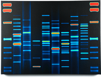 DNA Portrait Kit by DNA11 | Home DNA Kit | DNA Art by DNA11 | Your DNA As Artwork On Canvas @https://www.dna11.com